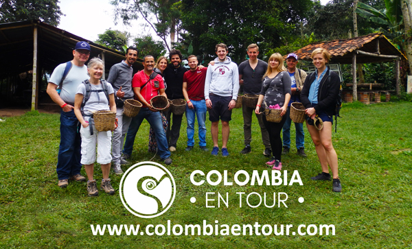 Imagen de Colombia Tour